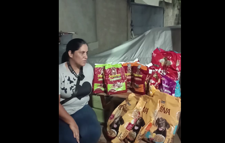 Alimento balanceado gestionado por la fundación